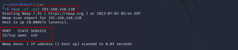 Essential Nmap Commands in Kali Linux - TechArry