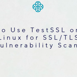 How-to-Use-TestSSL-on-Kali-Linux-for-SSL-TLS-Vulnerability-Scans-home