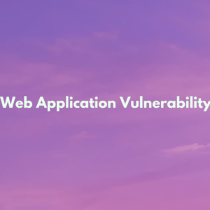 Wapit-Web-Application-Vulnerability-Scanner