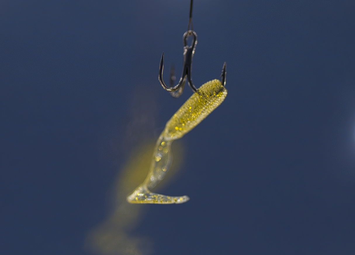 whaling-phishing