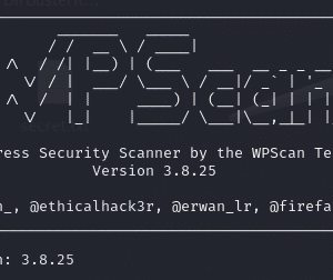 WPScan-in-Kali-Linux-Scan-WordPress-Sites-for-Security-home