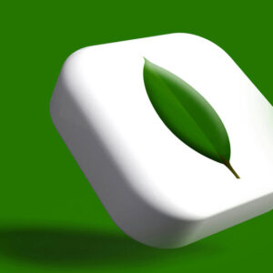 How-to-Install-MongoDB-8.0-on-Ubuntu-22.04-Step-by-Step-hm