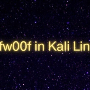 How-to-Use-Wafw00f-in-Kali-Linux-for-WAF-Detection-hm