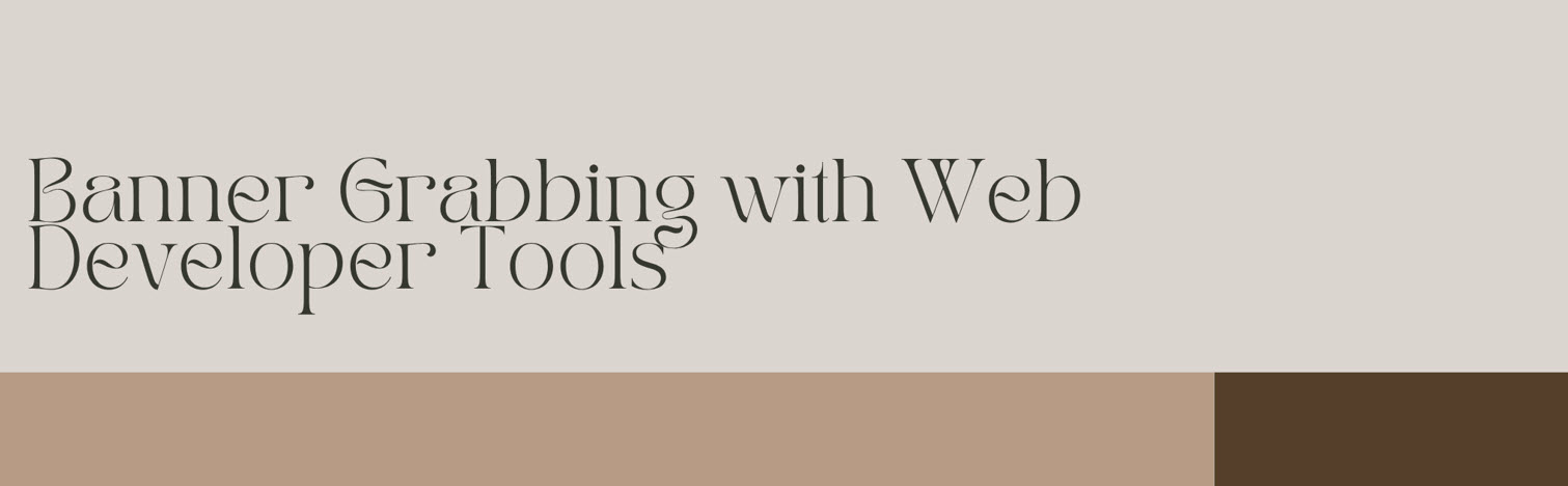 Website-Banner-Grabbing-with-Web-Developer-Tools