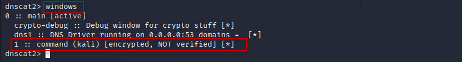 DNS-Tunneling-with-dnscat2-tool-in-Kali-Linux-15