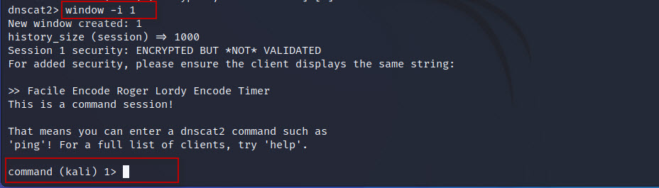 DNS-Tunneling-with-dnscat2-tool-in-Kali-Linux-16