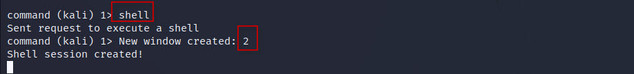 DNS-Tunneling-with-dnscat2-tool-in-Kali-Linux-19