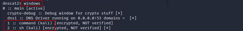 DNS-Tunneling-with-dnscat2-tool-in-Kali-Linux-21