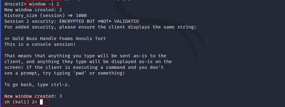 DNS-Tunneling-with-dnscat2-tool-in-Kali-Linux-22