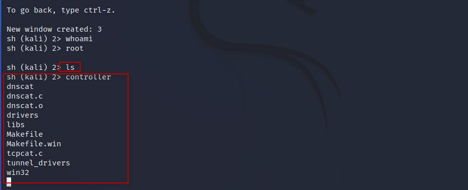 DNS-Tunneling-with-dnscat2-tool-in-Kali-Linux-24