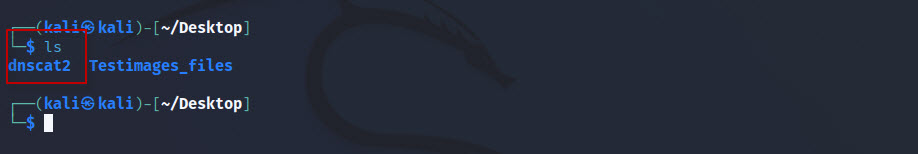 DNS-Tunneling-with-dnscat2-tool-in-Kali-Linux-3