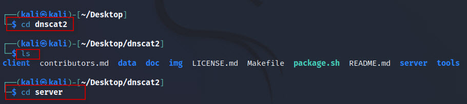 DNS-Tunneling-with-dnscat2-tool-in-Kali-Linux-4
