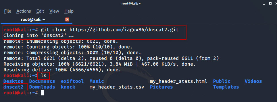 DNS-Tunneling-with-dnscat2-tool-in-Kali-Linux-7