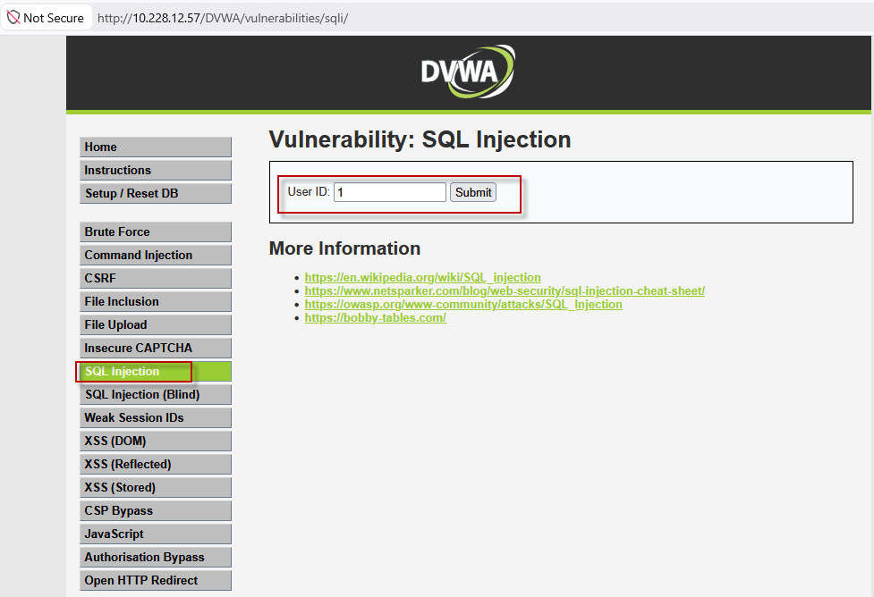 How-to-Use-Burp-Suite-Repeater-for-Web-Security-Testing-1